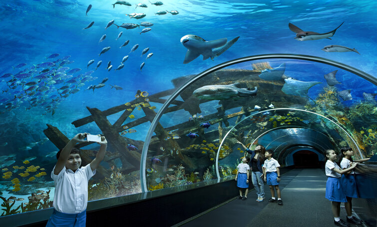 SEA-Aquarium-Singapore