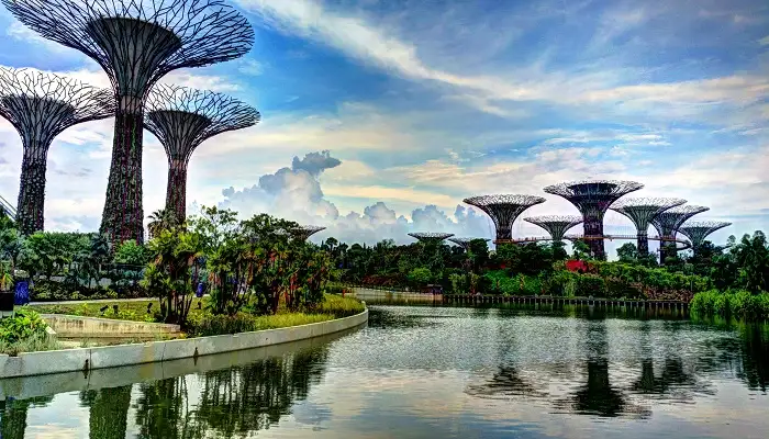 Supertree_Grove_Gardens_by_the_Bay